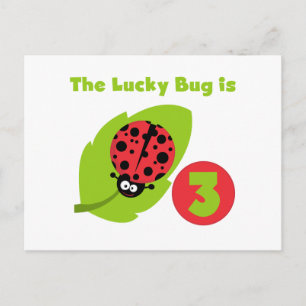Lucky Bug 3. Geburtstag T Shirts und Geschenke Postkarte