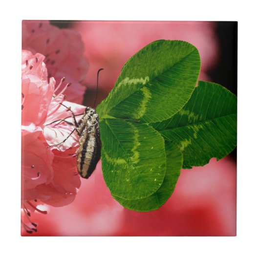 Lucky Butterfly Fliese (Vorderseite)