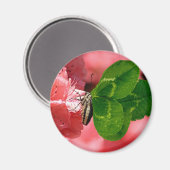 Lucky Butterfly Magnet (Vorderseite/Rückseite)