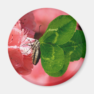 Lucky Butterfly Magnet