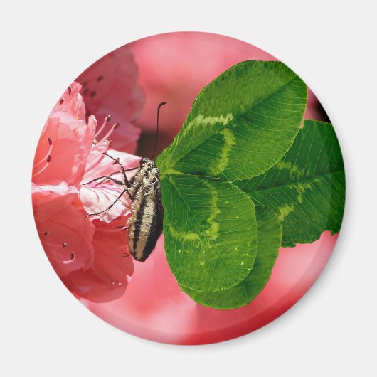 Lucky Butterfly Magnet (Vorne)