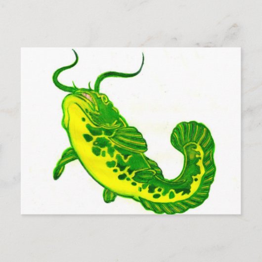 Lucky Catfish Postkarte (Vorderseite)