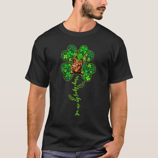 Lucky Charm Dobermann Shamrock Frohe St. Patrick's T-Shirt (Vorderseite)