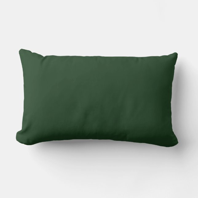 Lucky Charm Pillow Lucky Pillow St Patrick's Decor Lendenkissen (Vorderseite)