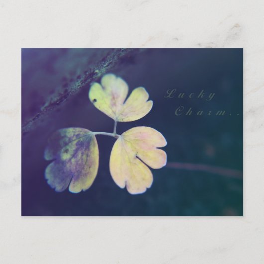 Lucky Charm Postcard Postkarte (Vorderseite)