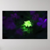 Lucky Charm Poster (Vorne)