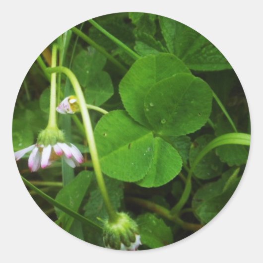 Lucky Charm Runder Aufkleber (Vorderseite)