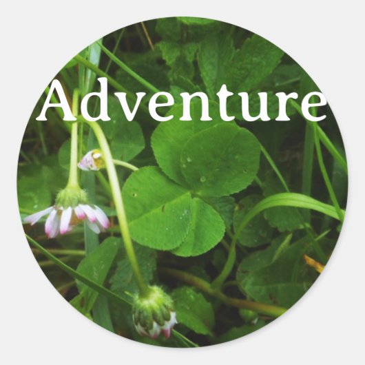 Lucky Charm Sticker (Vorderseite)