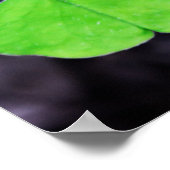 Lucky Clovers Poster (Ecke)