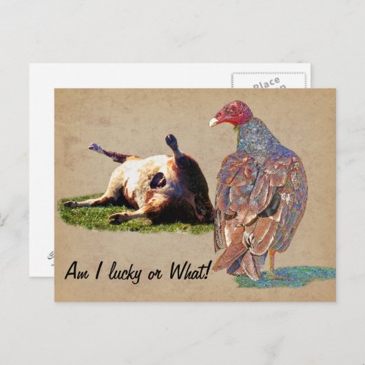 LUCKY DAY POSTKARTE (Vorne/Hinten)