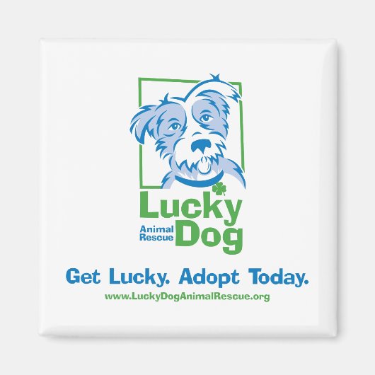 Lucky Dog "Adoptier Today" Magnet (Vorne)