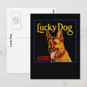 Lucky Dog Postkarte (Vorne/Hinten)