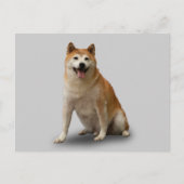 LUCKY DOG POSTKARTE (Vorderseite)