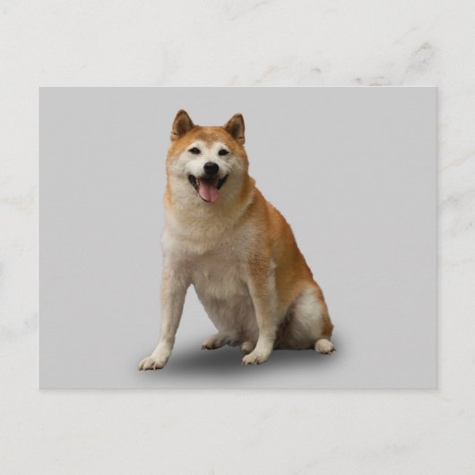 LUCKY DOG POSTKARTE (Vorderseite)