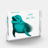 Lucky Dolphin Fotoblock (Links)