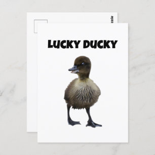 Lucky Duck Funny Duckling Bird Foto Postkarte