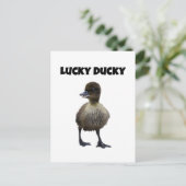 Lucky Duck Funny Niedlich Duckling Bird Foto Art Postkarte (Stehend Vorderseite)