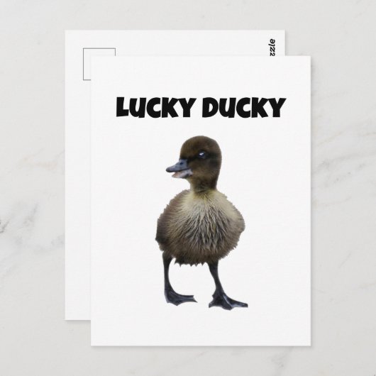 Lucky Duck Funny Niedlich Duckling Bird Foto Art Postkarte (Vorne/Hinten)