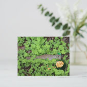 Lucky Eichhörnchen in Clovers Postkarte (Stehend Vorderseite)