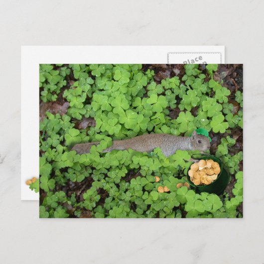 Lucky Eichhörnchen in Clovers Postkarte (Vorne/Hinten)
