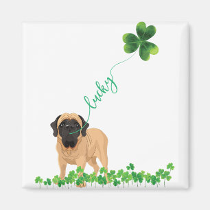 Lucky English Ma Dog Kleeblatt St Patrick Tag Magnet