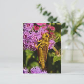 Lucky Grasshopper, Ageratum Postkarte (Stehend Vorderseite)