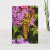 Lucky Grasshopper Geburtstag Karte (Vorderseite)