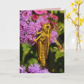 Lucky Grasshopper Geburtstag Karte (Gelbe Blume)