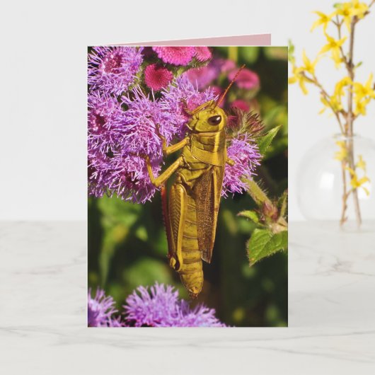 Lucky Grasshopper Geburtstag Karte (Gelbe Blume)