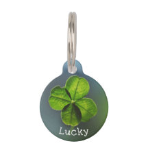 Lucky Green Vierblättriges Kleeblatt