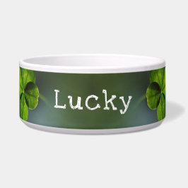 Lucky Green Vierblättriges Kleeblatt Napf