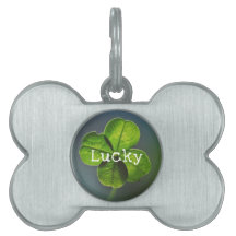 Lucky Green Vierblättriges Kleeblatt