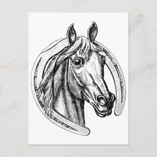 Lucky Horse Postkarte (Vorderseite)
