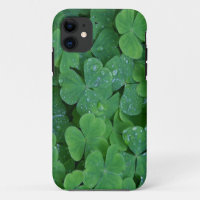 Lucky Irish Kleeblatts
