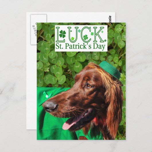 Lucky Irish Setter St. Patrick's Day Postcard Postkarte (Vorne/Hinten)