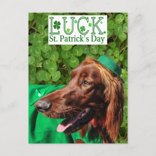 Lucky Irish Setter St. Patrick's Day Postcard Postkarte