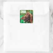 Lucky Irish Setter St. Patrick's Day Stickers (Tasche)