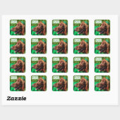 Lucky Irish Setter St. Patrick's Day Stickers (Blatt)