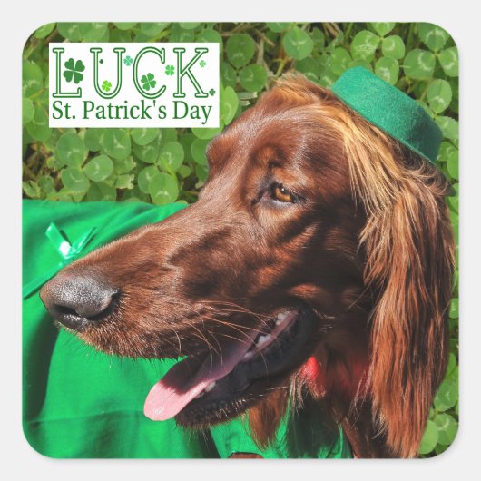 Lucky Irish Setter St. Patrick's Day Stickers (Vorderseite)