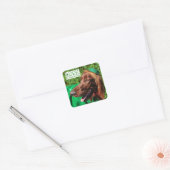 Lucky Irish Setter St. Patrick's Day Stickers (Umschlag)