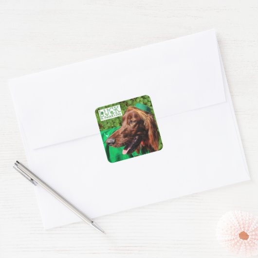 Lucky Irish Setter St. Patrick's Day Stickers (Umschlag)