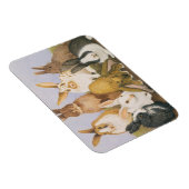 Lucky Kaninchen Magnet (Rechte Seite)