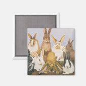 Lucky Kaninchen Magnet (Vorderseite/Rückseite)