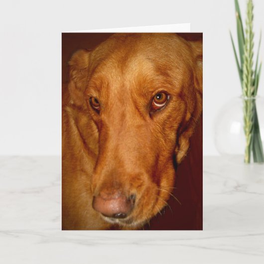 Lucky Karte (Vorderseite)