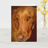 Lucky Karte (Gelbe Blume)