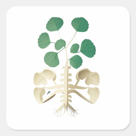 Lucky Kleeblatt St Patrick's Day Quadratischer Aufkleber (Vorderseite)