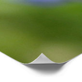 Lucky Lady Bugs Poster (Ecke)