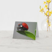 Lucky Ladybug Cards Karte (Gelbe Blume)