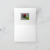 Lucky Ladybug Cards Karte (Innenseite)