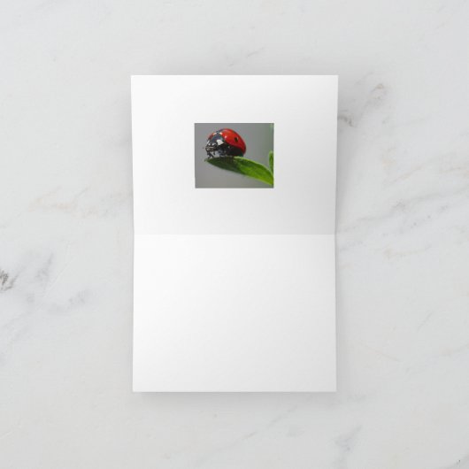 Lucky Ladybug Cards Karte (Innenseite)